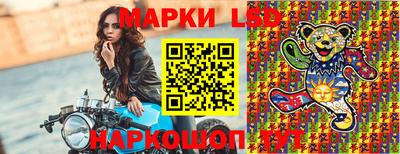 хмурый Сланцы