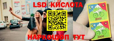 хмурый Сланцы